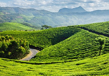 Munnar-itienery