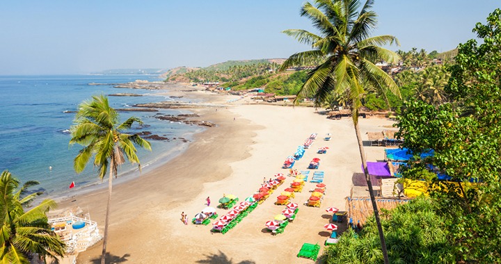 goa